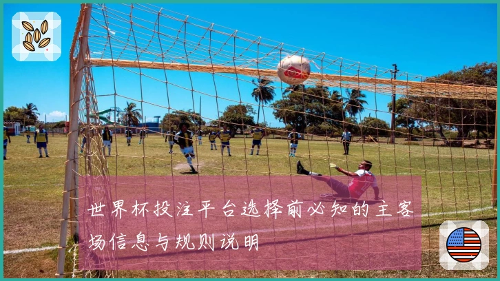世界杯投注平台选择前必知的主客场信息与规则说明