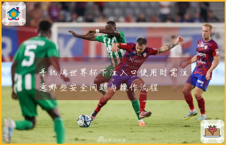 手机端世界杯下注入口使用时需注意哪些安全问题与操作流程
