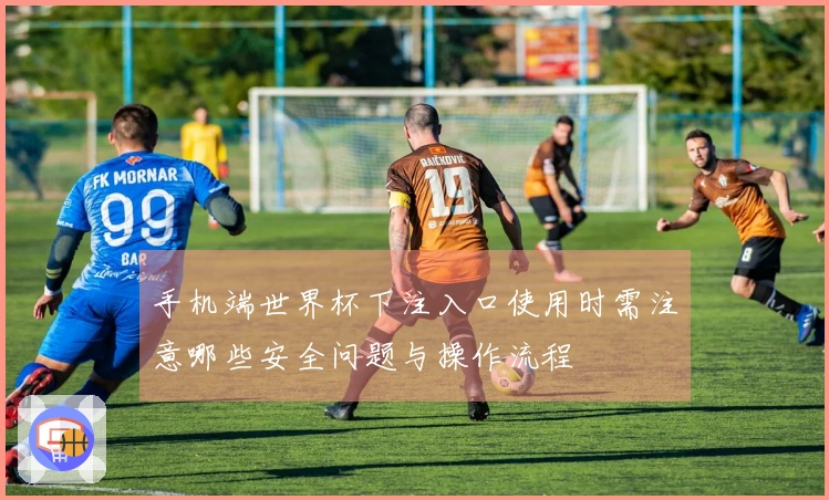 手机端世界杯下注入口使用时需注意哪些安全问题与操作流程